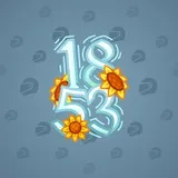 Big Year #11312