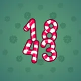 Big Year #22132