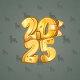 Big Year #33158