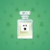 Perfume Bottle #1716